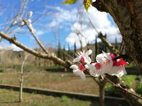 Пример фото с камеры Huawei P10 Пример фотографии с камеры Huawei P10